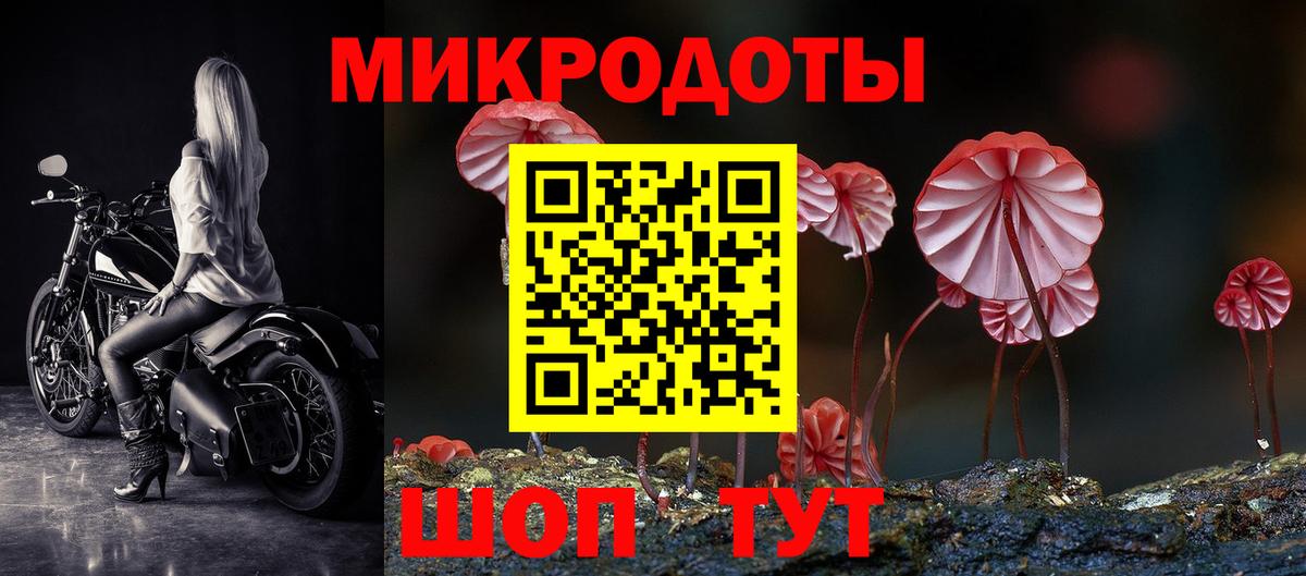 Псилоцибиновые грибы мицелий  что такое   Печора  Вход с VPN  Псилоцибиновые грибы Magic Shrooms 